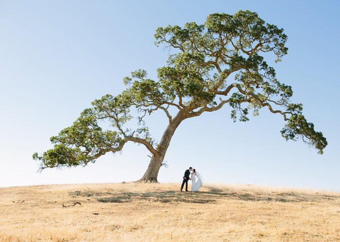 Bride and Groom under oak tree