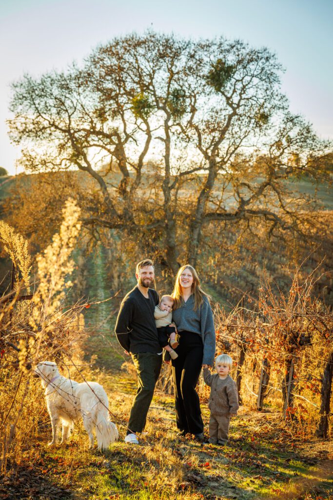 Family photos in paso robles vineyard during golden hour
